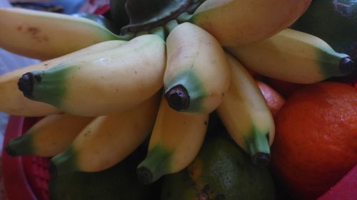 Close-up of fruits