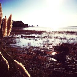 Scenic view of sea at sunset