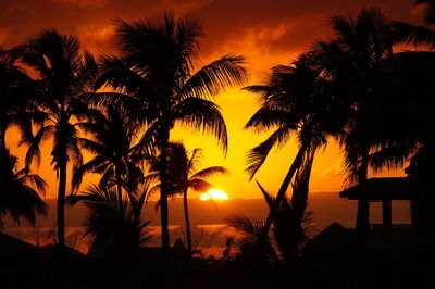 Silhouette palm trees on beach against romantic sky at sunset