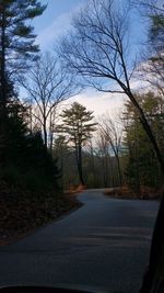 Empty road along bare trees