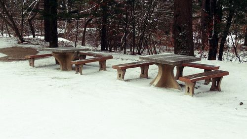 Wooden bench in park