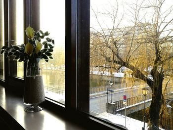 Flower vase on window sill