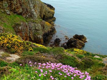 Scenic view of sea and rocks