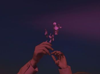 Close-up of hand holding pink flowering plant