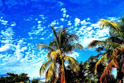 Low angle view of palm trees against blue sky