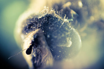 Young woman in water