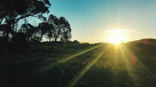 Scenic view of grassy field against sky at sunset