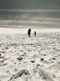 Silhouette people on beach against sky