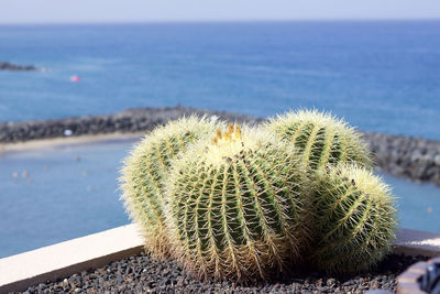 Close-up of sea against sky