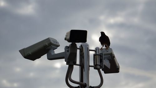 Low angle view of bird perching on camera against sky