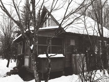 Bare trees with buildings in background