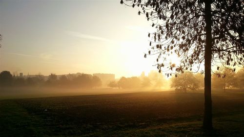 Scenic view of landscape against sky during sunset