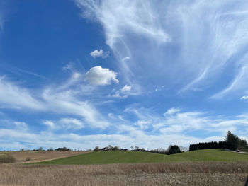 Scenic view of agricultural field against sky