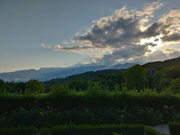 Scenic view of field against sky during sunset