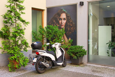 Portrait of man sitting on entrance of building