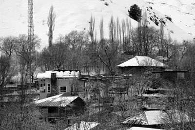 Houses with trees in background