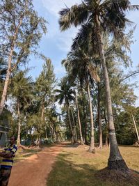 tree