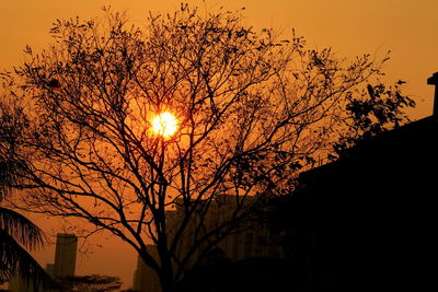 Silhouette trees against dramatic sky during sunset