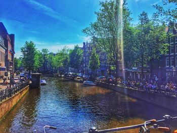 View of canal along trees