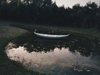 Reflection of trees in water