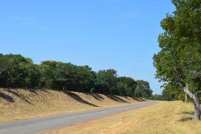 Road amidst trees on field against clear blue sky