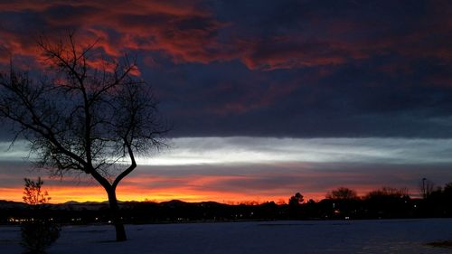 Silhouette of trees against cloudy sky