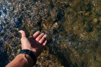 High angle view of hand on rock at sea shore