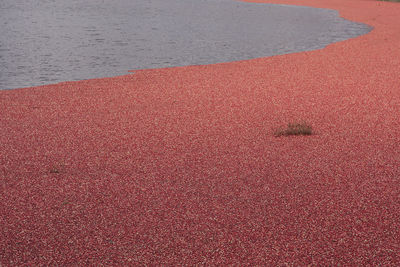 Red sand at beach