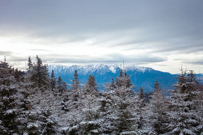 Panoramic view of snow covered mountains against sky during winter