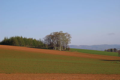 Scenic view of field against clear sky