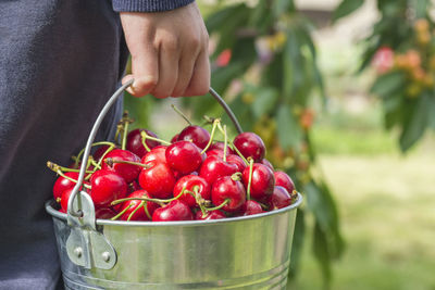 Midsection of man holding strawberries