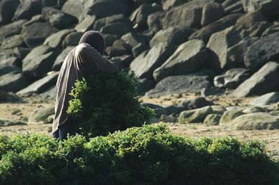 Rear view of woman against rocks