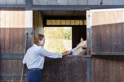 Young woman touching horse by dutch door stable