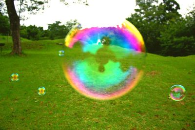 Close-up of bubbles in park