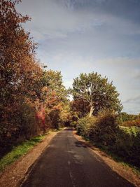 Road amidst trees against sky