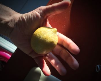 Close-up of hand holding lemon