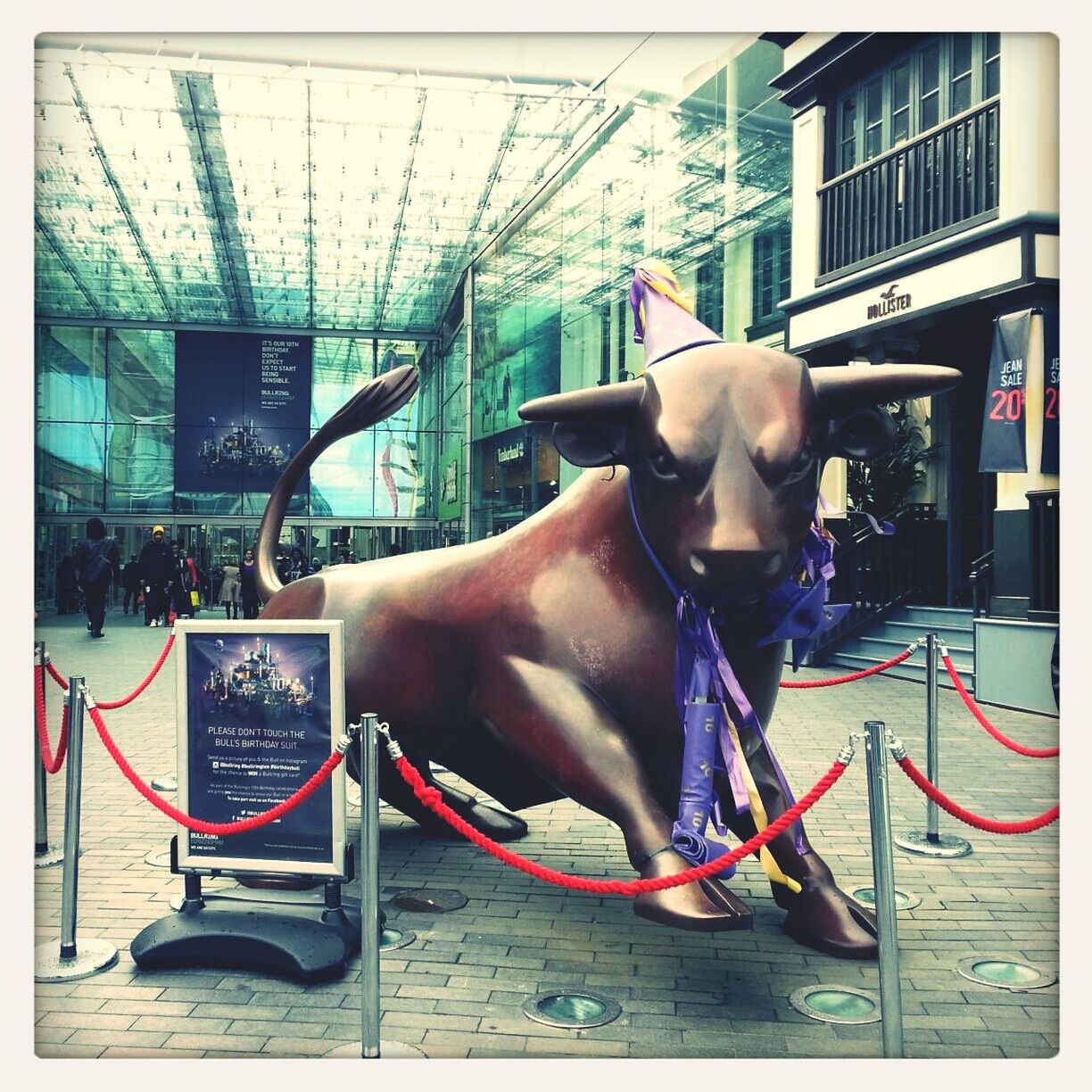 Bull ring