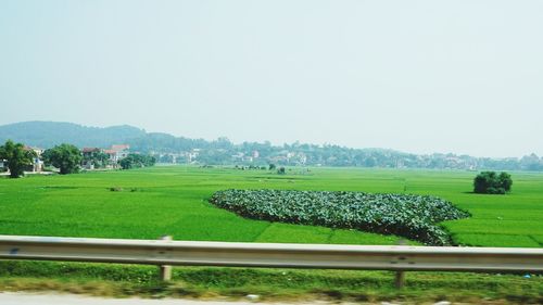 View of field against clear sky