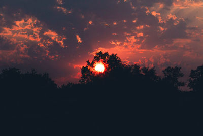 Silhouette trees against sky during sunset