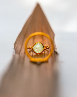Close-up of insect on leaf