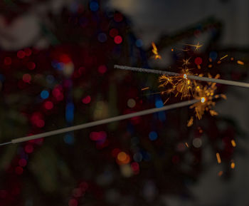 Close-up of christmas tree