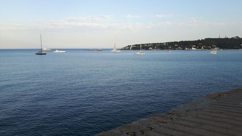 Sailboats sailing in sea against sky