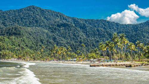 Scenic view of river by trees against sky