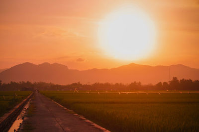Scenic view of field against sky during sunset