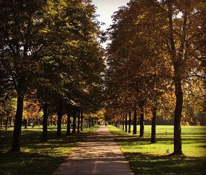 View of trees in autumn