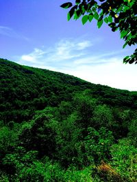 Scenic view of landscape against cloudy sky