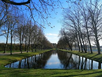 Scenic view of lake in park against sky