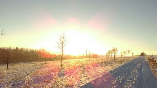 Scenic view of landscape against clear sky