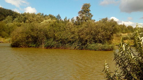 Scenic view of green landscape and river against sky