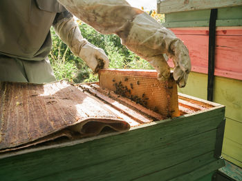 Midsection of man working in garden